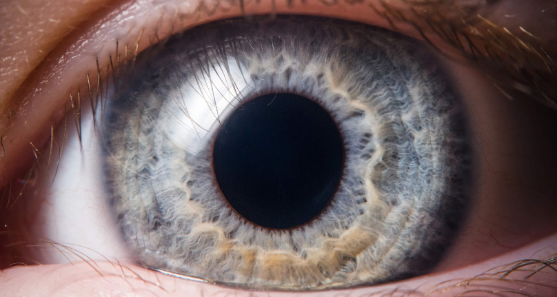 computer vision ai