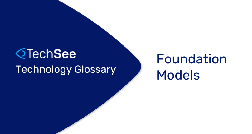 Foundation Models